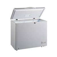 Onduleur de congélateur de porte, 200l, avec poignée latérale, robuste, nouveauté, vente en gros