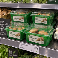 Boîtes en plastique PET pour légumes et fruits de supermarché, fabrication directe d'usine, boîtes pour champignons