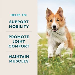 Suplementos Orgánicos para Mascotas de Marca Privada OEM/ODM, Golosinas Blandas de Condroitina para Perros, Suplementos Nutricionales para la Cadera y las Articulaciones - Product Image 5