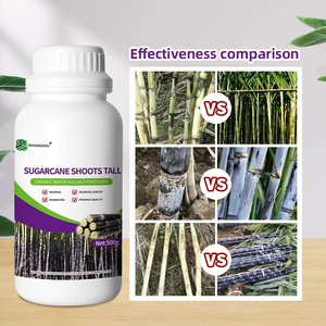 Fertilizante <span class=keywords><strong>de</strong></span> <span class=keywords><strong>caña</strong></span> <span class=keywords><strong>de</strong></span> azúcar orgánico Aumento del rendimiento Crecimiento <span class=keywords><strong>de</strong></span> raíces Calidad Articulación <span class=keywords><strong>DE</strong></span> ALTO endulzamiento - Product Image 3