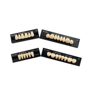 Source d'alimentation manuelle de l'usine CAIYU certifié CE ISO deux couches de <span class=keywords><strong>dents</strong></span> en résine synthétique ensemble complet de <span class=keywords><strong>dents</strong></span> en résine <span class=keywords><strong>composite</strong></span> - Product Image 4