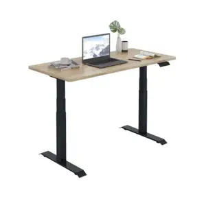 Quick Assembly Affordable Only for B2B Factory Single Motor Standing Desk