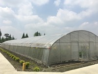 Serres en film plastique hydroponiques pour tomates/laitues/aubergines/fraises GT
