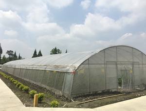 Pomodoro/Lattuga/Melanzana/Fragola Idroponica bottiglia di Plastica Pellicola Serre - Product Image 6