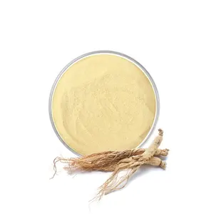 ISO Certified Ginseng Extract Water Soluble Panax Ginseng Extract 10:1 Free Sample Ginseng Extract Powder With Wholesale Price