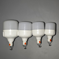 15W 20W 30W 40W 60W bombillas recargables bombilla recargable de emergencia LED focos de emergencia inteligentes recargables 50 vatios