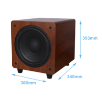 Subwoofer actif haute performance de 10 pouces 300W pour home cinéma, enceintes actives pour connexion arbitraire