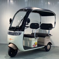 Triciclo Eléctrico Mini para Adultos, Nuevo Diseño Económico, 3 Ruedas, Motor en el Buje Trasero, 1000W, 3 Velocidades, Marco de Acero al Carbono, para Carga y Pasajeros