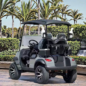 Carrito de Golf de 2 Plazas: Fácil Maniobrabilidad, Ideal para Campos de Golf Pequeños y Comunidades, Carrito de Golf para Carreteras No Públicas - Product Image 2