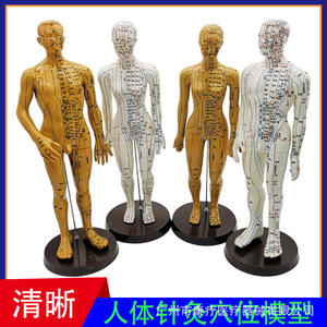 Modelo de acupuntura Huayikang, diagrama claro de meridianos y puntos de acupuntura humanos para práctica, reutilizable, clase I - Product Image 4