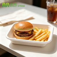 Boîte rectangulaire en bagasse 900 ml 30 oz, contenant alimentaire jetable biodégradable, résistant à l'huile et à l'eau, pour salades et frites