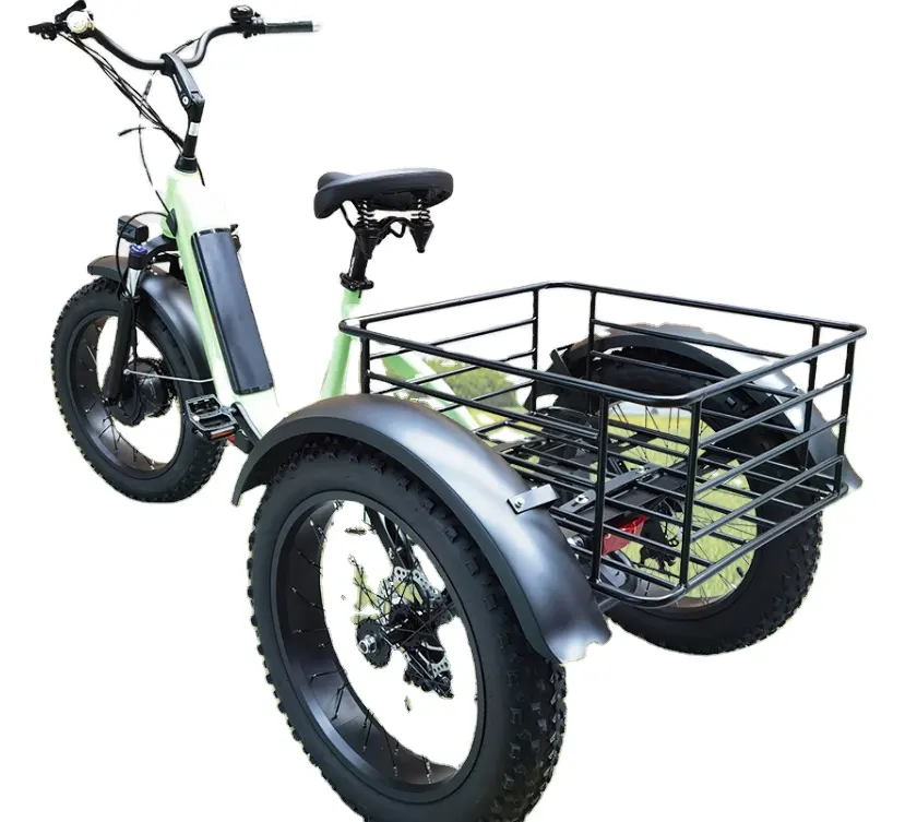यात्रियों के लिए नया डिज़ाइन यूरोप इलेक्ट्रिक ट्राइसाइकिल रिक्शा, पर्यटकों के लिए इलेक्ट्रिक 3 व्हील पेडीकैब, टैक्सी बेचने के लिए