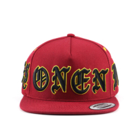 Gorra Deportiva Snapback de 5 Paneles Personalizada al por Mayor, de Alta Calidad, con Visera Plana y Logotipo Bordado en 3D