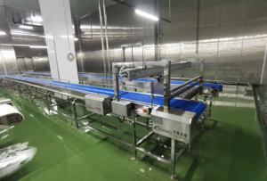 Ligne de convoyage durable en acier inoxydable et plastique pour l'abattage de la viande, avec vitesse réglable, pour applications dans l'industrie alimentaire - Product Image 5