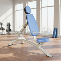 Banc de musculation réglable en acier tubulaire de 33 kg pour entraînement de force, équipement de gym commercial, entraînement de la poitrine, unisexe GNS-8208