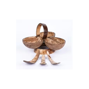 Handcrafted Coconut Shell <b>Serving</b> <b>Spoon</b> Set Natural Eco Friendly Kitchen Utensils for Condiments Spices Desserts Snacks - Product Image 1