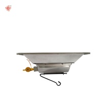 Équipement d'élevage d'animaux et de volailles à économie d'énergie, chauffe-poulets au gaz pour poulailler THD2606