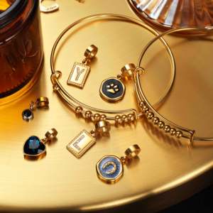 <span class=keywords><strong>Bracelet</strong></span> jonc ajustable en acier inoxydable personnalisé à la mode avec breloques interchangeables multi-styles, cadeau pour femme, bijoux - Product Image 2