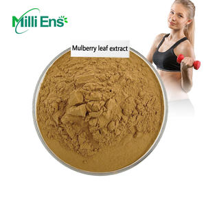 도매 천연 유기농 뽕나무 잎 추출물 분말 1-dnj 10% 뽕나무 잎 추출물 - Product Image 2