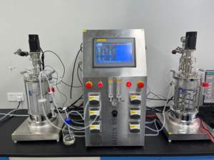 Biorreactor de Laboratorio BLBIO-XGC-2 para Cultivo Líquido, Tanque de Fermentación de Doble Vidrio con Agitación Magnética, Enzima Transglutaminasa, Amilasa - Product Image 3