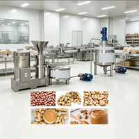 Ligne de production industrielle de beurre de cacahuètes, équipement de fabrication de pâte d'arachide en acier inoxydable pour usine alimentaire