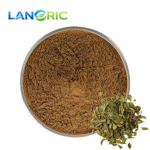 Extracto Natural de Agathosma Betulina en Polvo, Polvo de Hoja de <span class=keywords><strong>Buchu</strong></span>, Extracto de Hoja de <span class=keywords><strong>Buchu</strong></span> en Polvo - Product Image 3