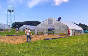 Serre en film plastique économique à faible coût pour tomates et légumes - Product Image 3