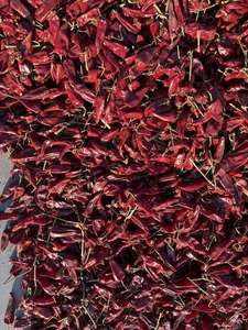 Chiles Rojos Secos Yidu Premium, Enteros, 5000 SHU, Pimiento Rojo de Pekín - Product Image 4