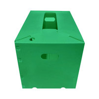 Op Maat Gemaakte Pp Gegolfde Plastic Fruitverpakkingsdoos Pp Plastic Opvouwbare Transportdoos Groente Opbergdoos
