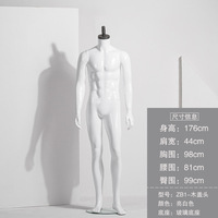 Usine En Gros Modèle Accessoires Mâle Plein Corps Affichage Cadre Fenêtre Simulation Costume Factice Vêtements Corps Humain Hommes Mannequin