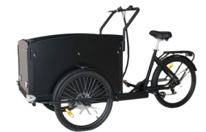 Triciclo Elettrico da Carico con Cassone in Legno, Bici per Bambini con Cinture di Sicurezza - Product Image 2