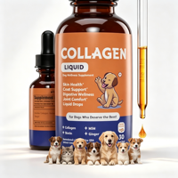 Complément Liquide de Collagène pour Chiens : Soutient la Peau, le Pelage, la Santé Digestive et Articulaire – Gouttes de Collagène, MSM, Biotine et Gingembre – OEM