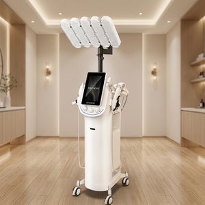 Instrumento de gestión de la piel 11 en 1 de primera calidad con pantalla LCD y cuerpo de ABS para tratamiento facial y corporal completo CE - Product Image 1
