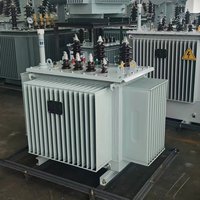 Transformador de Distribución Sumergido en Aceite de 10kV 80kVA de Bajo Ruido y Sellado Herméticamente para Uso Industrial, Ahorro de Energía