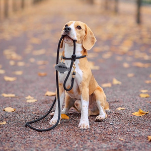 Pet Waste Bag Dispenser Reusable Silicone Dog Poop <b>Collection</b> <b>Box</b> Cartoon Style Azure Color - Product Image 4