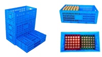 Boîte de rangement pour œufs en plastique JOIN, ventilée, pliable, pliable, bac de rangement pour œufs