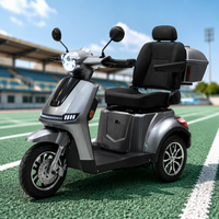 Scooter de mobilité pour personnes âgées, batterie amovible 30AH, charge 200kg, conduite électronique facile, sécurité, 25KM/H, moteur 1000W