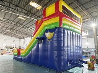 Glissière à sec Château sautant 13FT 30FT Toboggans gonflables Jeux gonflables pour enfants