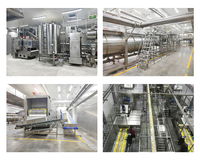 Aanpasbare automatische productielijn voor diepvriesfrieten, aardappelverwerkingsmachine voor grote snackfabrieken