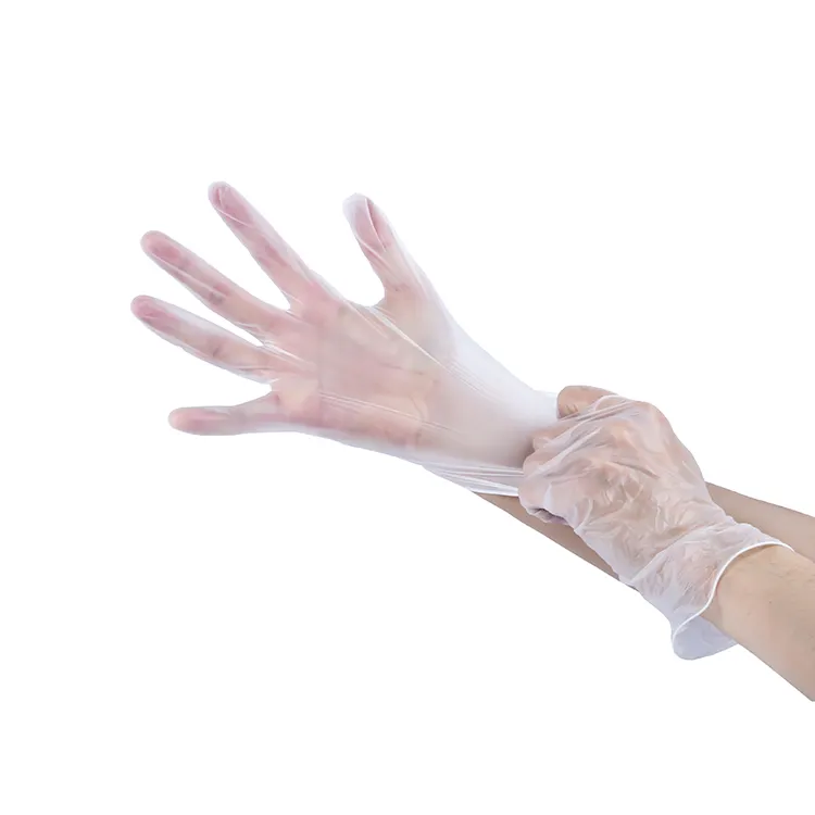 Manufacturer A Grade Single Use PVC Vinyl Gloves Disposable for Food Processing Beauty Salon Touch Screen XL Sample Acceptable