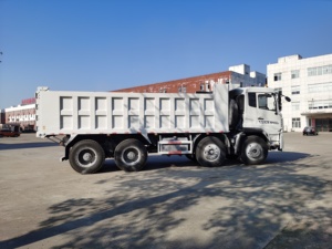 Fabrik Direkt verkauf Brand New <span class=keywords><strong>Donfeng</strong></span> 8x4 Heavy Duty Diesel Muldenkipper 12 Räder Kipper mit linker rechter Hand Guter Preis - Product Image 2