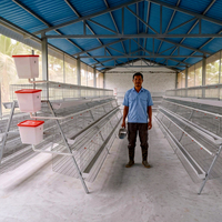 Nouvelle cage à poules pondeuses en A, galvanisée à chaud Q235, avec alimentation automatique et collecte des œufs, équipement avicole 3-4 niveaux