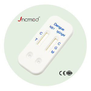 뎅기열 테스트 키트 콤보 이쁜뎅 콤보 빠른 테스트 뎅기열 신속한 테스트 키트 - Product Image 1