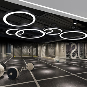 Lámpara Colgante Moderna Negra con Anillo, LED E26, Luz Blanca Cálida 3500K, Acero Inoxidable, Dorado, Altura Ajustable, Regulable, para Sala de Estar - Product Image 6