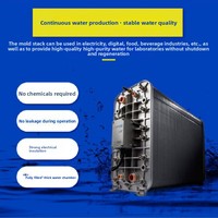 Module EDI Ionpure Pure Water IP-LXM45Z, bloc de membrane CEDI