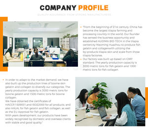 Gelatina idrolizzata, gelatina commestibile, gelatina sfusa, polvere di pesce halal e kosher - Product Image 4