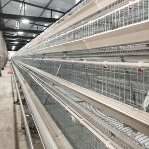 Hot Sale TBB Metal Turquia Chicken Duck Rabbit Breeding Cage Egg Chicken Cage System A Type Deitado Hen Farm Equipment