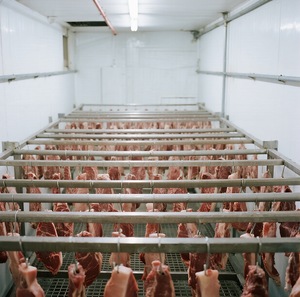 40ft lạnh lưu trữ phòng Tủ đông <span class=keywords><strong>container</strong></span> 20ft <span class=keywords><strong>container</strong></span> năng lượng mặt trời Powered - Product Image 4