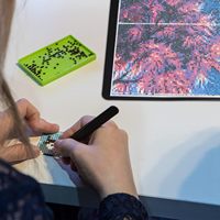 Carpeta Portafolio A2 con Fundas de Plástico, Carpeta con 30 Protectores de Hojas Transparentes, Carpeta Portafolio para Obras de Arte, Protector de Pósteres