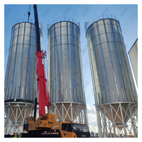 Silo Industrial de Acero para Granos de Café de Gran Capacidad (100-15000 Toneladas), Construcción Galvanizada en Caliente de Doble Capa, Control PLC Centralizado